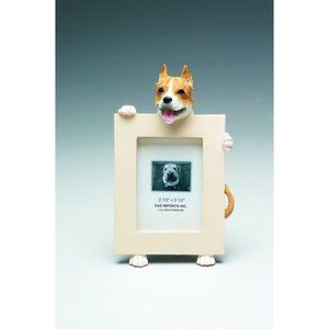 Pit Bull picture frame new in box!